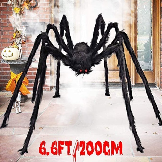 Scary Giant Spider 1
