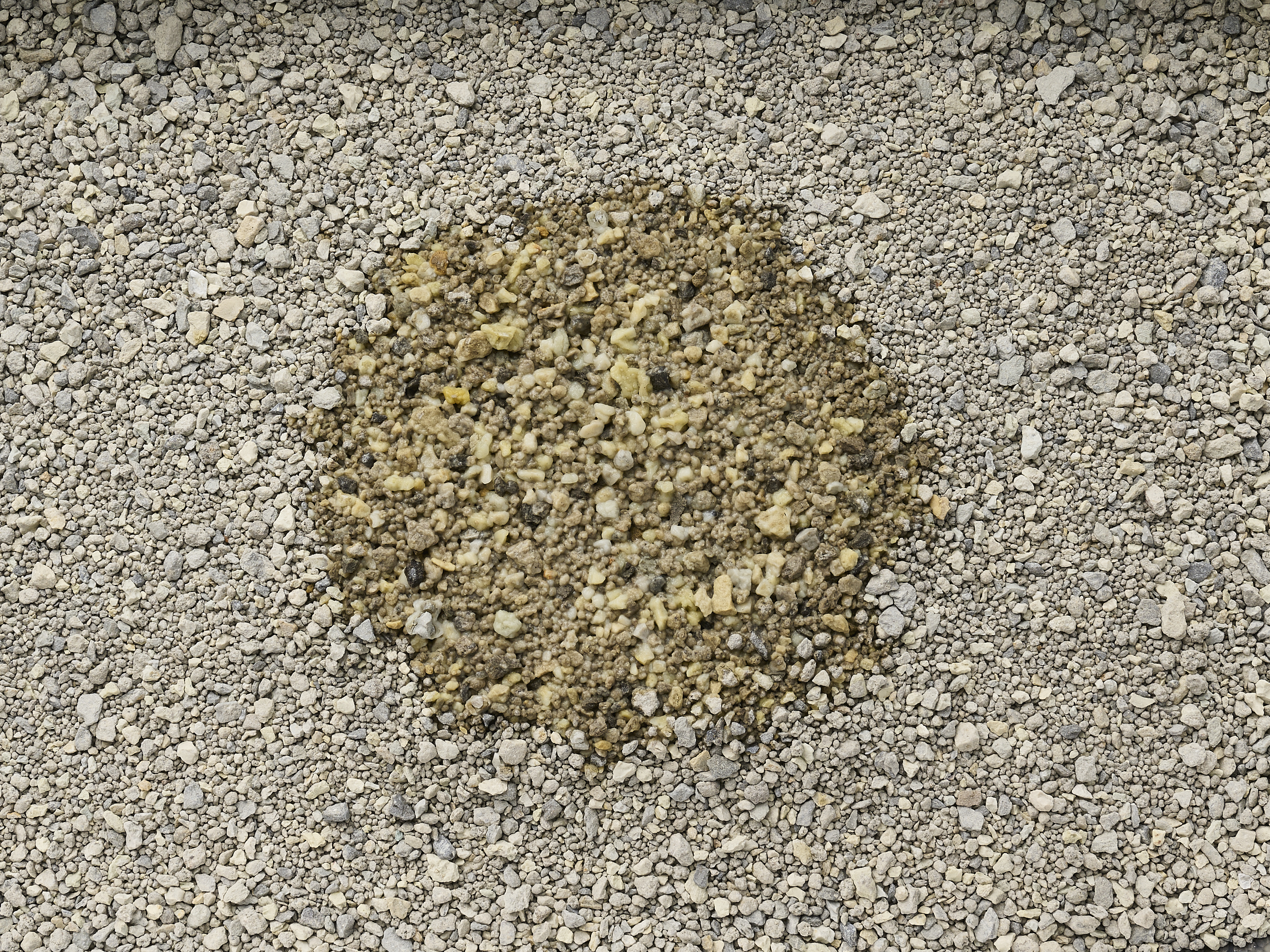 Ultra Multi-cat Litter 4