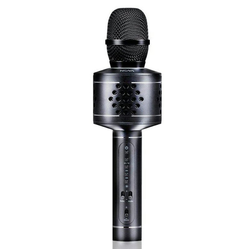 Karaoke Microphone 1