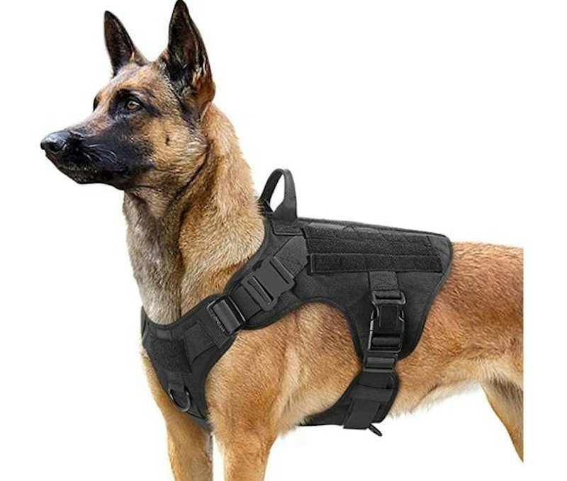 Tactical Dog Harness 1
