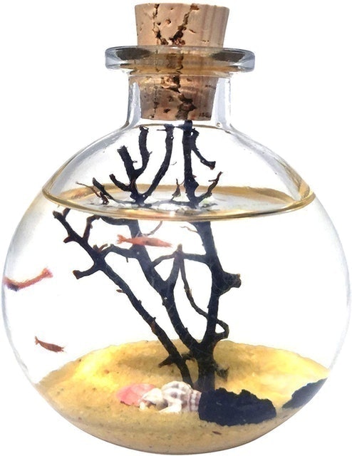 Ecosystem Kit 1