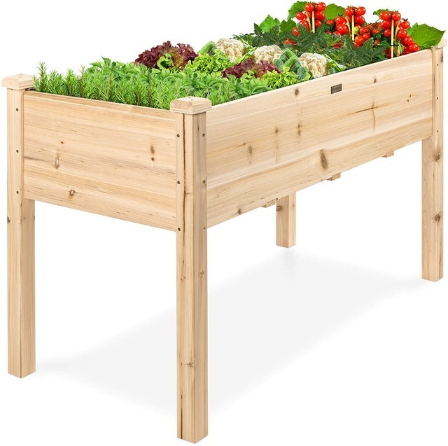 Raised Garden Bed 1