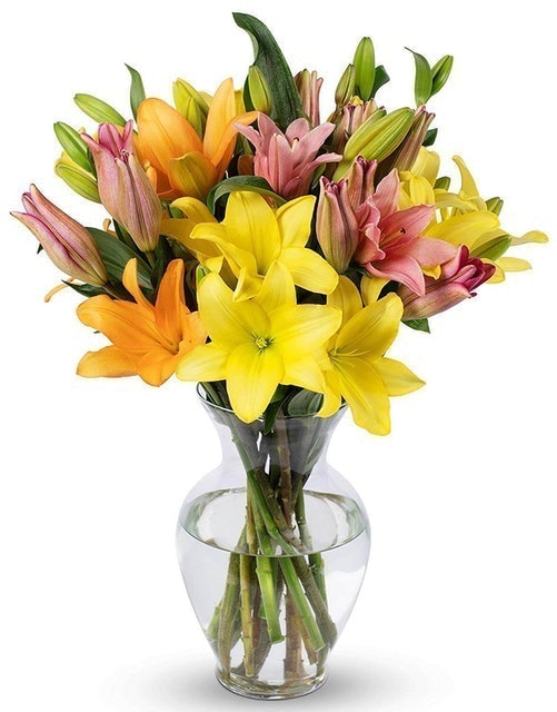 Assorted Asiatic Lilies 1