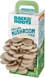 10 Best Indoor Garden Kits in 2022 (Master Gardener-Reviewed) 3