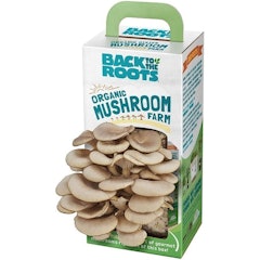 Organic Mushroom Farm