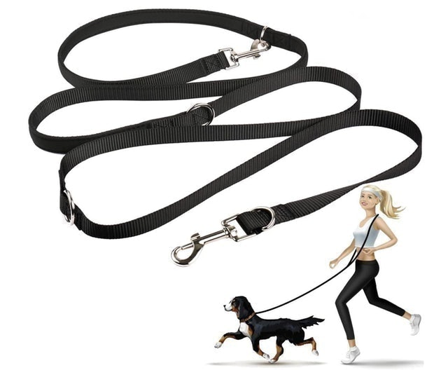 10 Best Dog Leashes for Running in 2022 (TaoTronics, oneisall, and More) 4