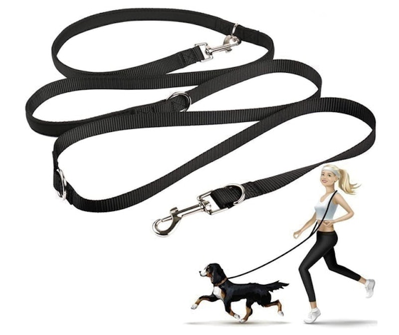 Multifunctional Dog Leash 1