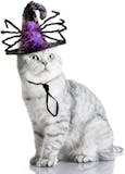 10 Best Witch Hats of 2026 (Leg Avenue, Enjoying, and More) 5