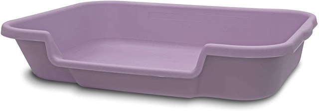Senior Cat Litter Box 2