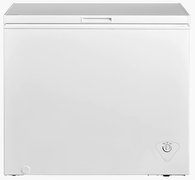 10 Best Chest Freezers in 2022 (Chef-Reviewed) 4