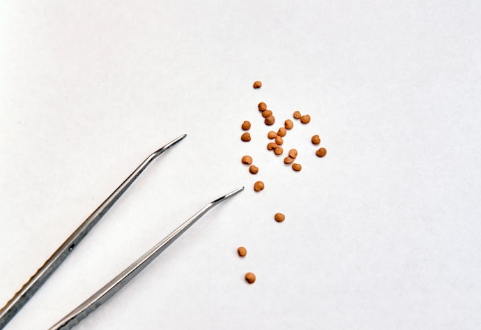 Get Additional Tools To Make Feeding Easier