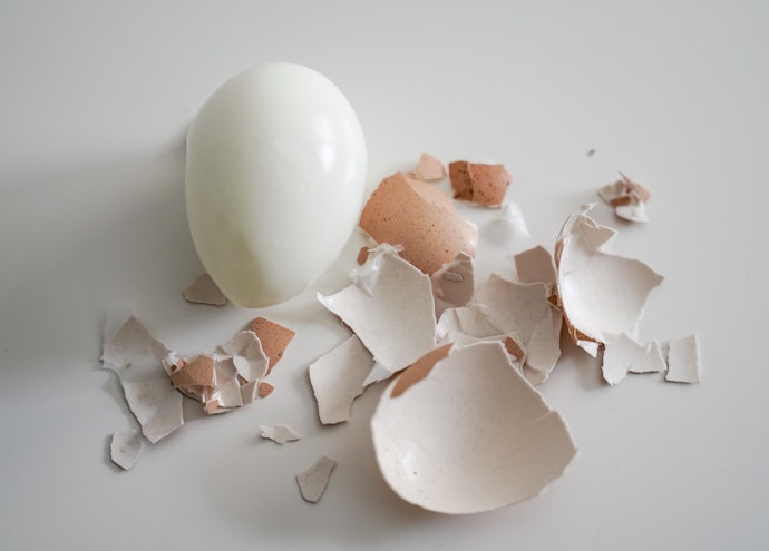 Keep Food Safety in Mind if You Plan to Eat the Eggs
