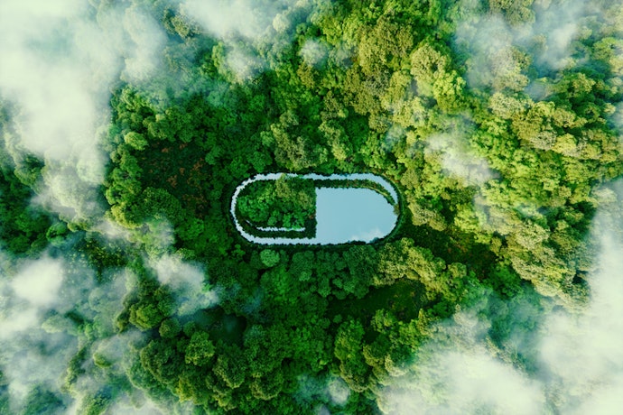 Keep an Eye on Sustainable and Eco-Friendly Products if You're Conscious About Environmental Impact