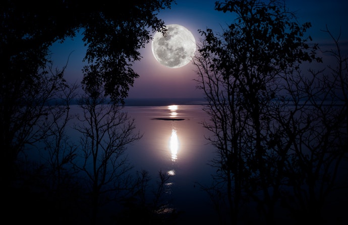 For Times of Stress and Self-Reflection, Consider Healing and Introspection-Focused Tarot Decks