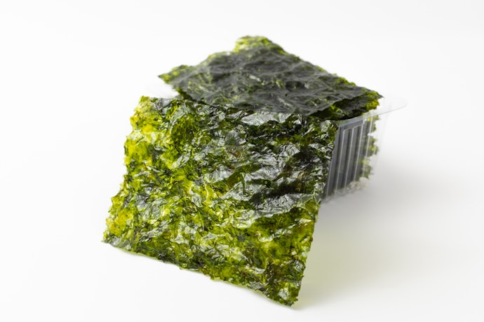 If You’re on the Go, Seaweed Snacks Come In Easy Traveling Packaging That You Can Take Anywhere