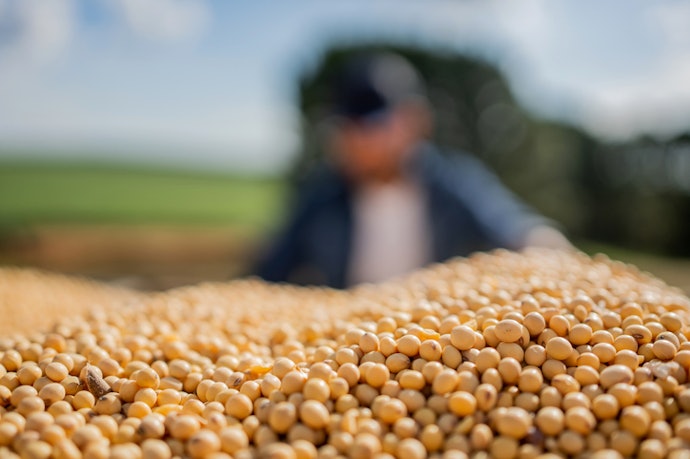 Select Organic or Non-GMO Products for High Quality, Sustainably Sourced Ingredients