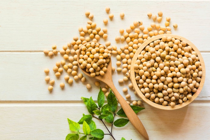 Look for Clean, Plant-Based Ingredients Like Soy or Pea Proteins to Balance Nutrition