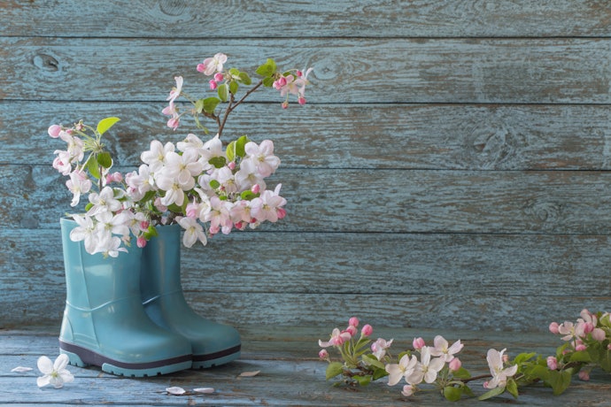 Take Scent into Account