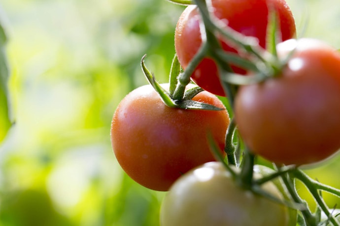 Look for Ingredients You Recognize