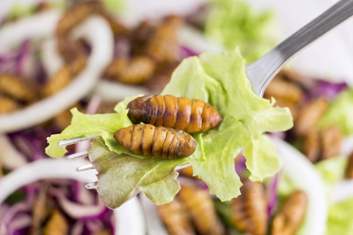 For a Sweet Taste, Look for Larvae