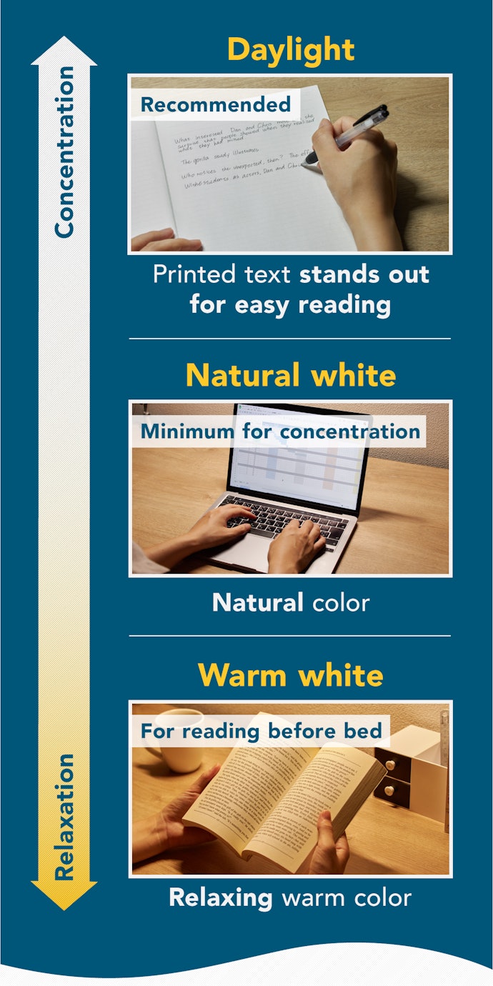 Color’s Effect on Reading and Mood