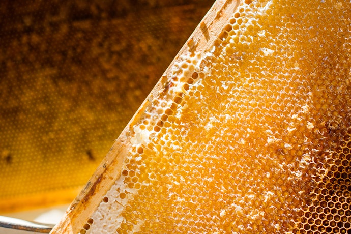 Opt for Raw Honey to Prioritize Health Benefits