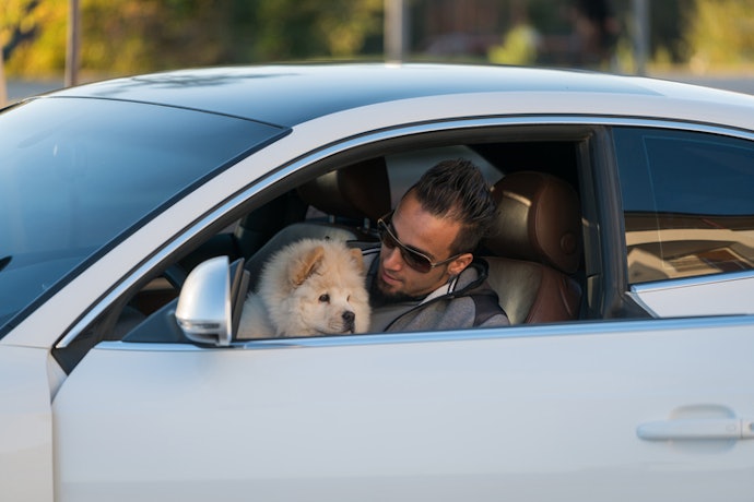 Consider Ceramic Tints if You’re Transporting Kids or Pets
