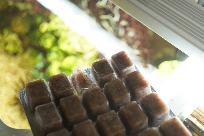 Frozen Food Is Easy to Store and Nutritious