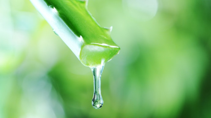 Look for Moisturizers to Keep Your Skin Hydrated