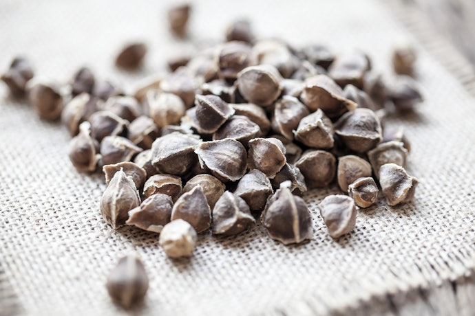 For Oily and Acne-Prone Skin, Look for Ingredients That Regulate Sebum Production
