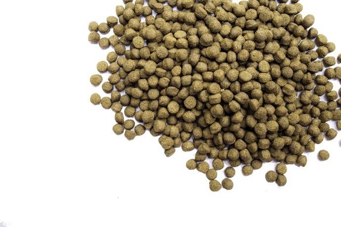 Pellets Are Easy to Feed to Your Axolotl