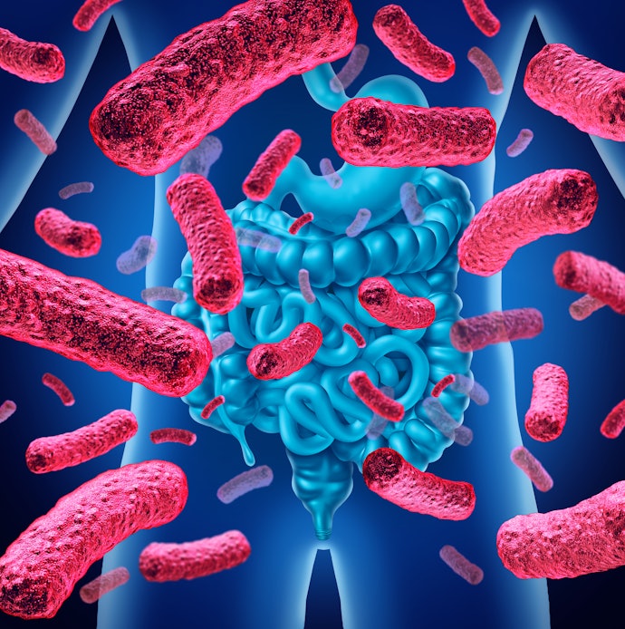 To Improve Gut Bacteria and Blood Sugar Regulation, Try Functional Fiber