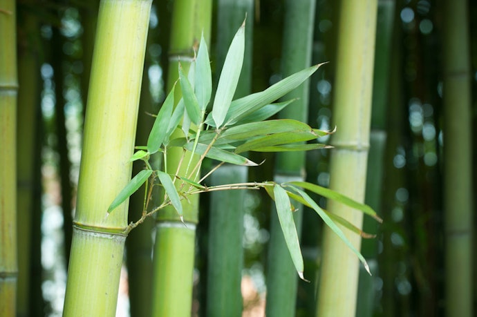 For Breathability, Look for Bamboo Fibers