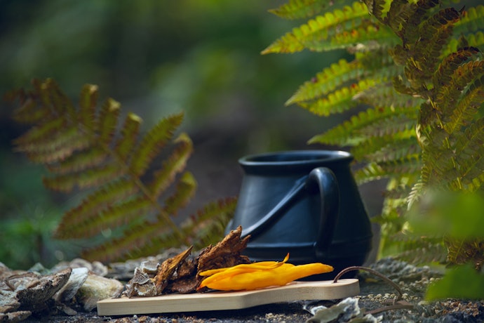 Pick Cordyceps for Sustained Energy