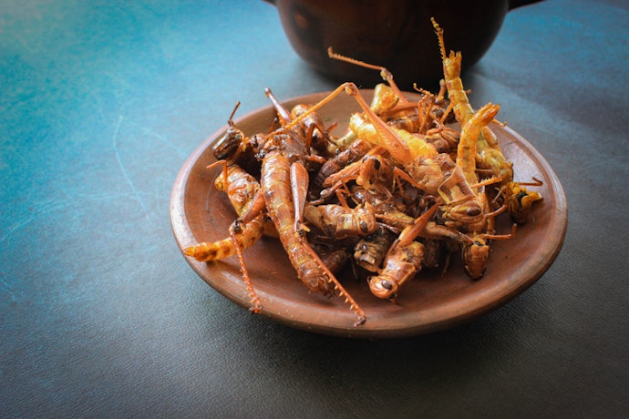 For a Nutty Flavor, Look for Crickets, Mealworms, and Grasshoppers