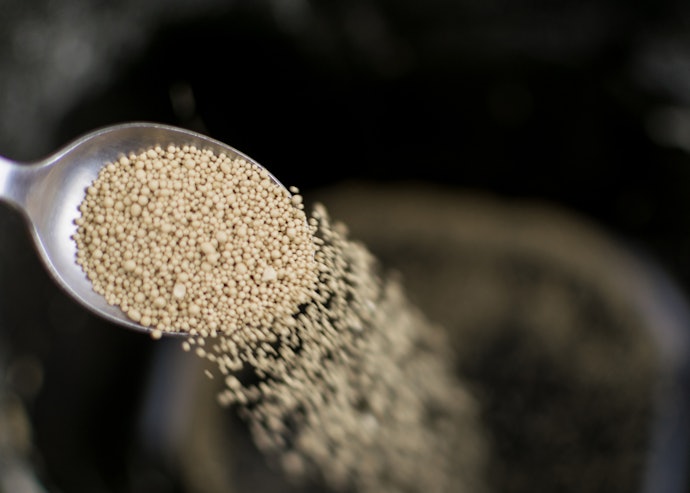 Skip Proofing With Instant Yeast