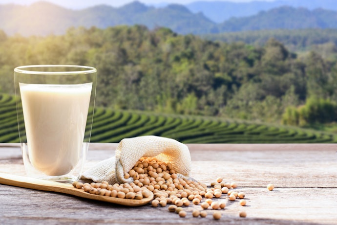 Enhance Your Daily Nutrition: Opt for Soy Milk With All 3 of Magnesium, Iron, and Potassium