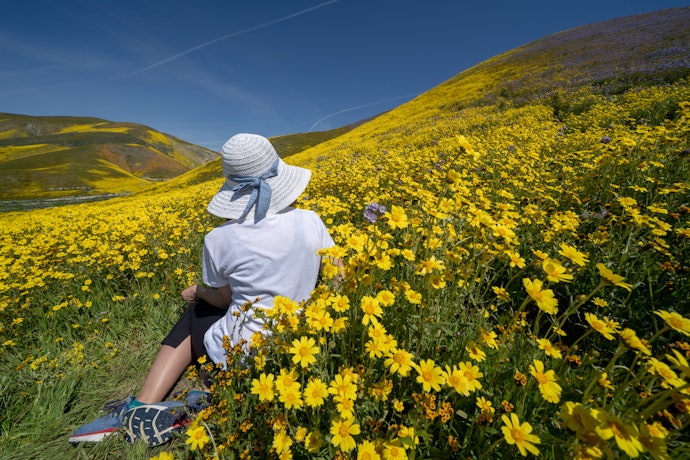 Look for Local Honey for Allergy Relief