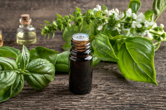 Look for Subtly Spiced Woody Fragrances, Such as Cedar and Basil, for Professional Settings