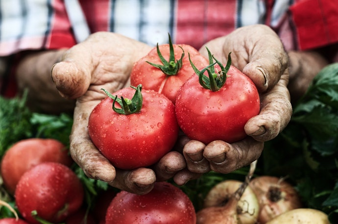 Look for Organic or Non-GMO Certification